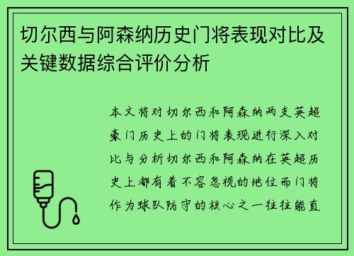 切尔西与阿森纳历史门将表现对比及关键数据综合评价分析